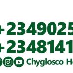 MR. CHRISTOPHER OGECHI NWOKO